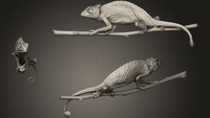 Статуэтки животных Chameleon